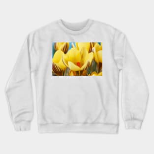 Crocus  'Gipsy Girl' Crewneck Sweatshirt